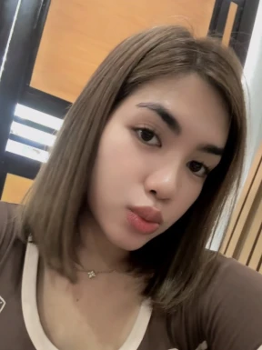 Thai ladyboys for dating / Ladyboys from Philippines for dating