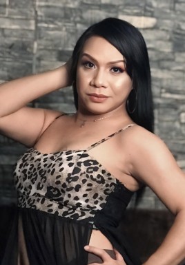 Thai ladyboys for dating / Ladyboys from Philippines for dating