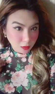 Thai ladyboys for dating / Ladyboys from Philippines for dating